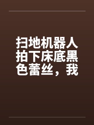 扫地机器人拍下床底黑色蕾丝，我反手送教授老公入狱封面