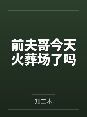 前夫哥今天火葬场了吗封面