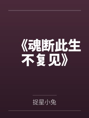 《魂断此生不复见》封面