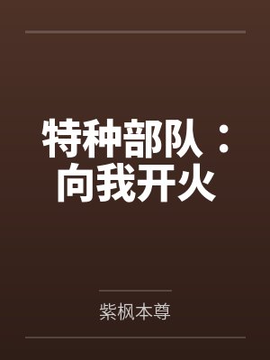 特种部队：向我开火封面