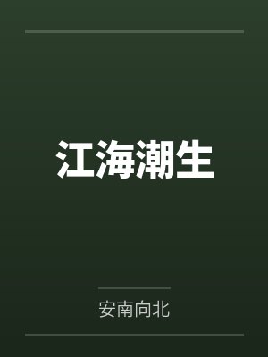 陆海嘉宋江河封面