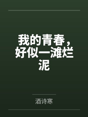 我的青春，好似一滩烂泥封面
