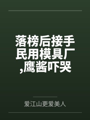 落榜后接手民用模具厂，鹰酱吓哭了！封面