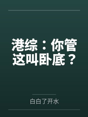 港综：你管这叫卧底？封面