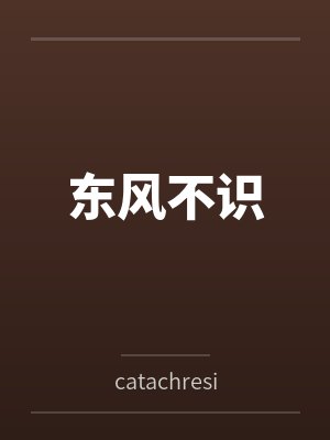 东风不识封面