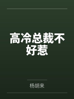 高冷总裁不好惹封面