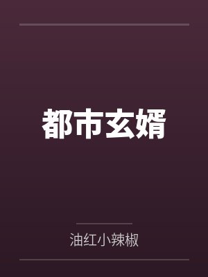 都市玄婿封面