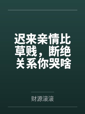 宋洛宋弘泽迟来亲情比草贱，断绝关系你哭啥封面