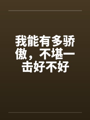 我能有多骄傲，不堪一击好不好封面