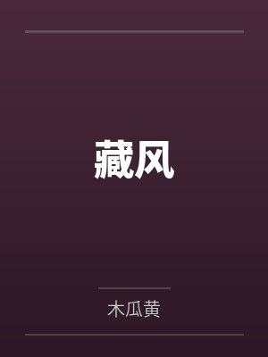 藏风by木瓜黄笔趣阁无弹窗封面