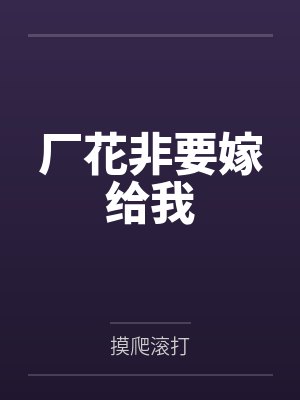 赵辰徐丽芬厂花非要嫁给我封面