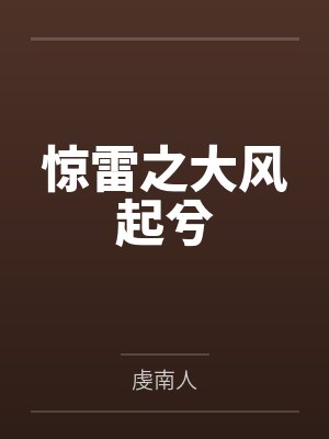 惊雷之大风起兮封面